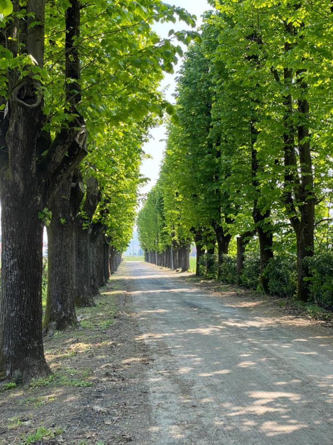 Tenuta Pizzone Wine Resort 里瓦纳扎诺 外观 照片