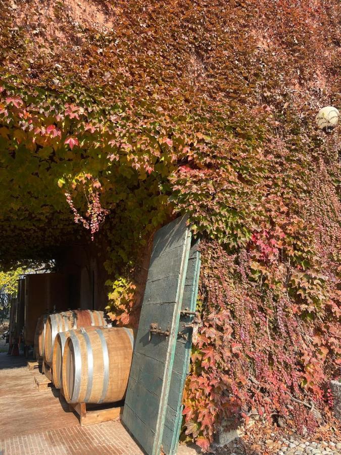 Tenuta Pizzone Wine Resort 里瓦纳扎诺 外观 照片